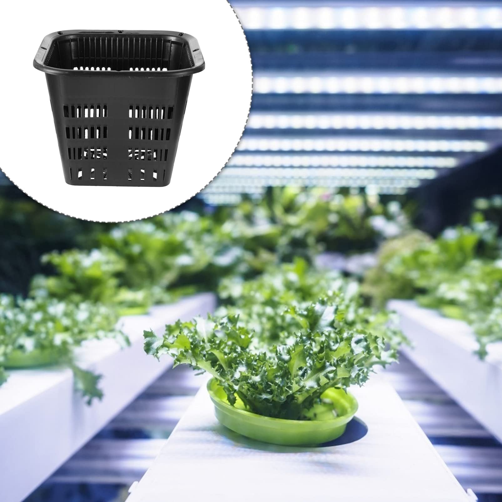 Amazon.co.jp: NUOLUX 育苗ポット スリット鉢 水耕栽培ポット 植木鉢